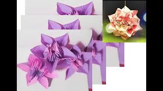 折り紙 基本の花くす玉 Origami Kusudama Flower Thảo Trần 折り紙モンスター