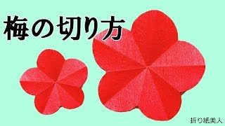 折り紙 梅の花の切り方 Origami Ume 折り紙美人 折り紙モンスター