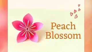 折り紙でお花 桃の花 立体 Origami Flower Peach Blossom 3d Maruchan S Origami Studio 折り紙モンスター