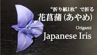 折り紙1枚 可愛い 立体的な花 花菖蒲 アヤメ の折り方 How To Make A Japanese Iris With Origami Flower クラフトちゃんねる 折り紙モンスター
