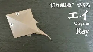 折り紙1枚 のり はさみ不要で簡単 立体的で可愛い魚 エイ の折り方 How To Make A Ray With Origami It S Easy To Make 海の生き物 クラフトちゃんねる 折り紙モンスター