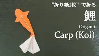 折り紙1枚 簡単 立体で可愛い魚 鯉 の折り方 How To Make A Carp Koi With Origami It S Easy To Make Fish クラフトちゃんねる 折り紙モンスター