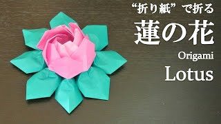 折り紙 簡単 立体で可愛い 蓮の花 の折り方 How To Make A Lotus With Origami It S Easy To Make Flower クラフトちゃんねる 折り紙モンスター