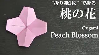 折り紙1枚 簡単 ひな祭りの飾りにも可愛い 桃の花 の折り方 How To Fold A Peach Blossom With Origami Easy Flower クラフトちゃんねる 折り紙モンスター