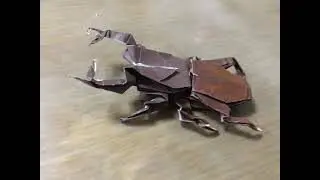 ギラファノコギリクワガタ】ペアリングをしていく Create an environment for laying stag beetle eggs 