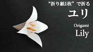 折り紙1枚 簡単 立体で可愛い花 ユリ の折り方 How To Fold A Lily With Origami Easy Flower クラフトちゃんねる 折り紙モンスター