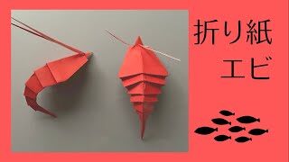 折り紙 海老 Shrimp 折り方 お正月飾りにもピッタリ Kiinoji Workshop きーのじワークショップ 折り紙モンスター